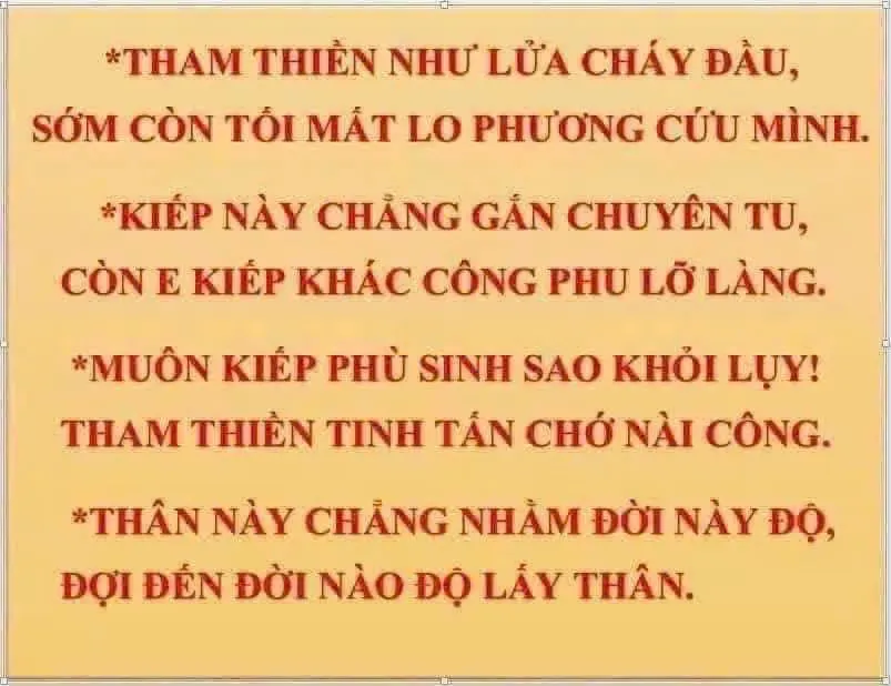 Thien Duong 12